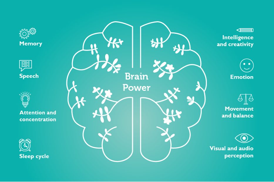 the importance of brain health