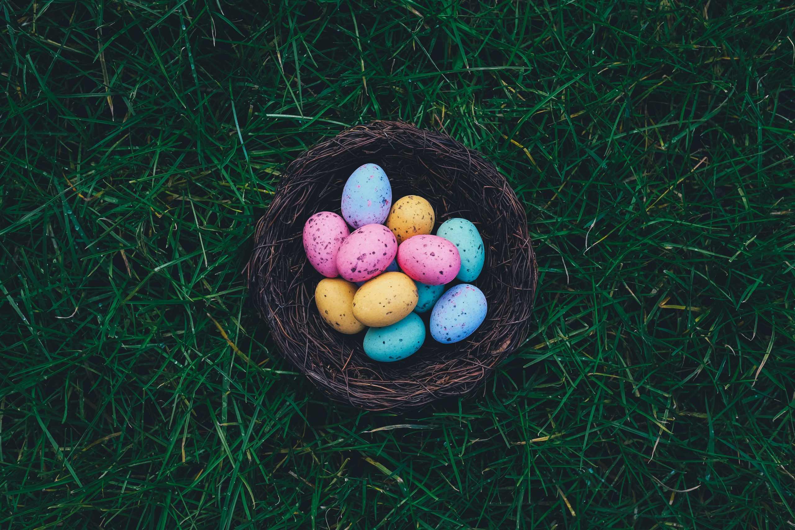 Ethical Easter eggs