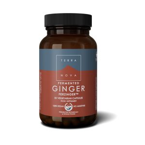 Terranova Fermented Ginger
