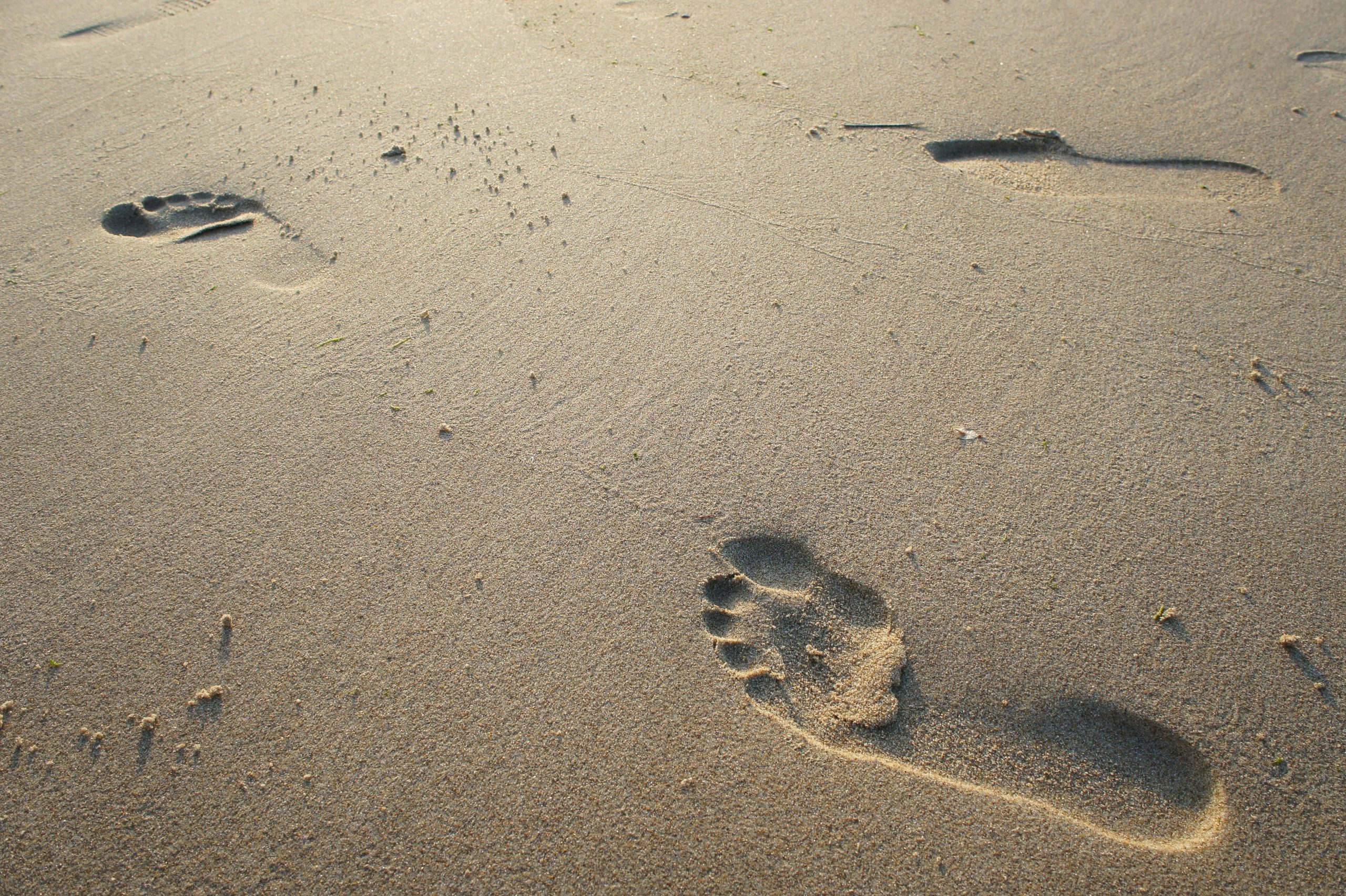 Six steps to summer ready feet