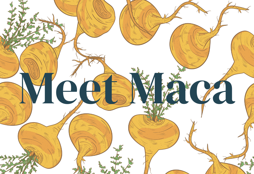 Meet maca